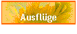 Ausflge