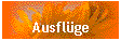 Ausflge
