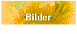 Bilder
