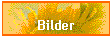 Bilder